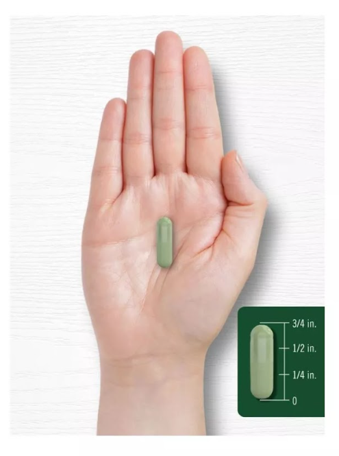 Moringa Oleifera 6000 Mg 🌿 100% Suplemento Natural